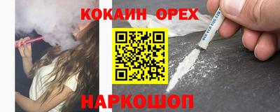 дмт Аргун