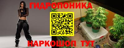 дмт Аргун