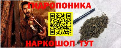 дмт Аргун