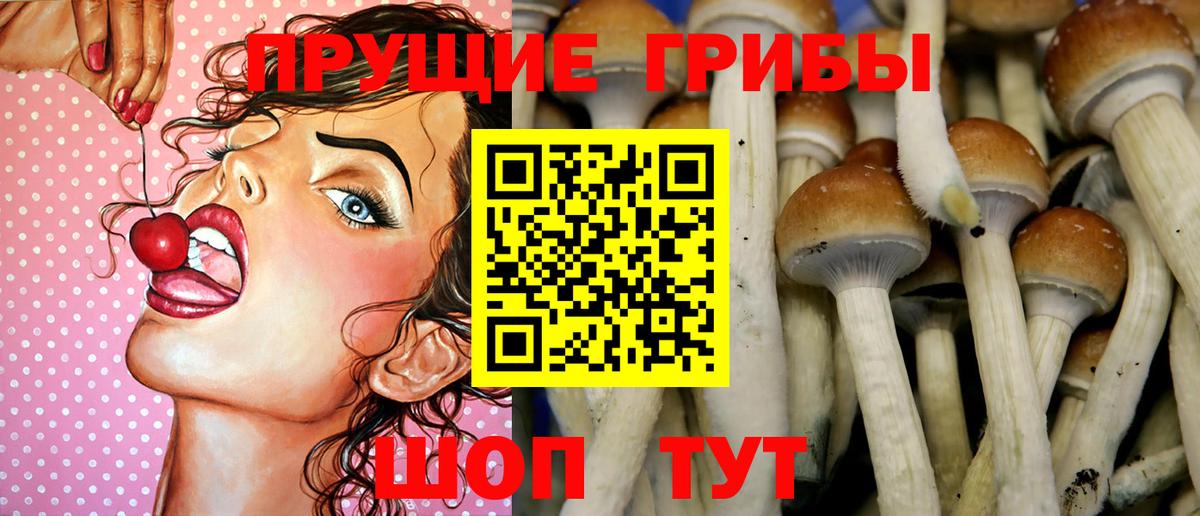 где можно купить наркотик  Галлюциногенные грибы мицелий  Вход с VPN  Аша 